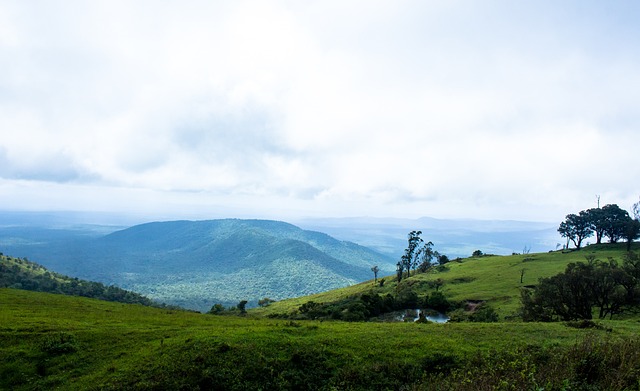 有精彩表现 有精彩表现