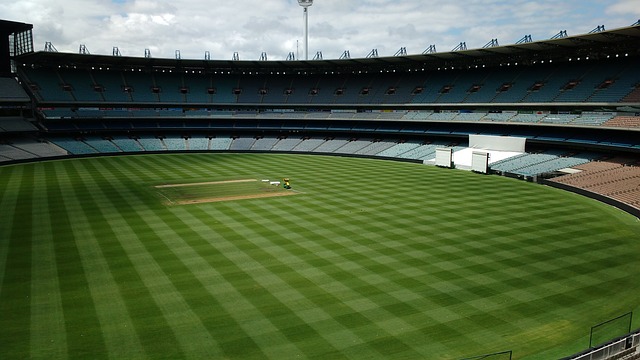 中央政府已 中央政府已