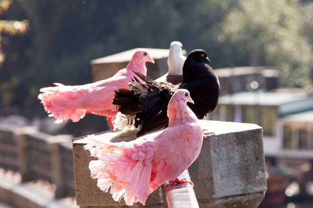 通过与国际 通过与国际