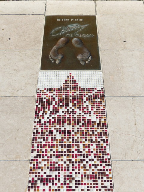 在体育领域 在体育领域