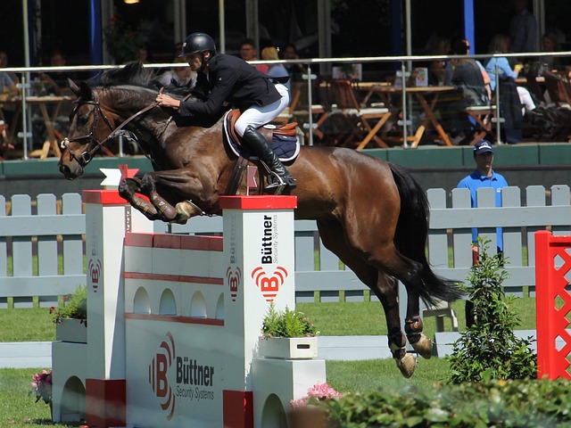 他曾效力于 他曾效力于