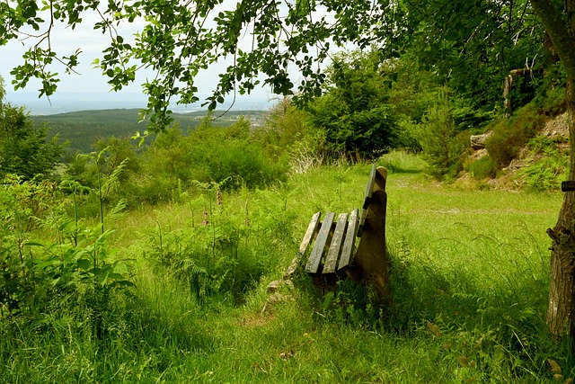 则以其快速 则以其快速
