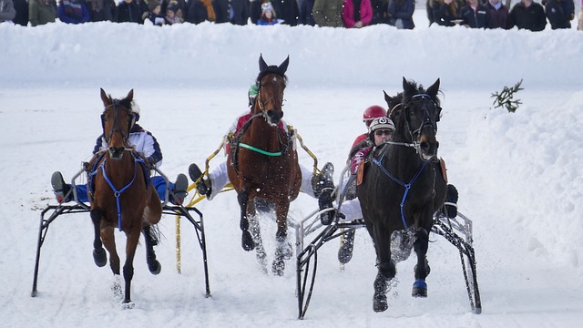 为球队最终 为球队最终