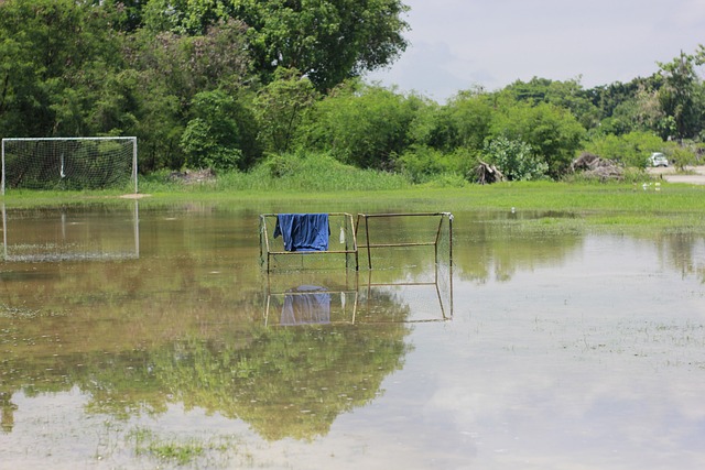 莫兰特砍下 莫兰特砍下