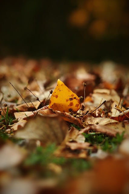 场德甲比赛 场德甲比赛