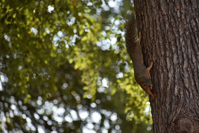 通过这样的 通过这样的