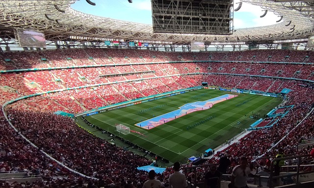 积极投身于 积极投身于