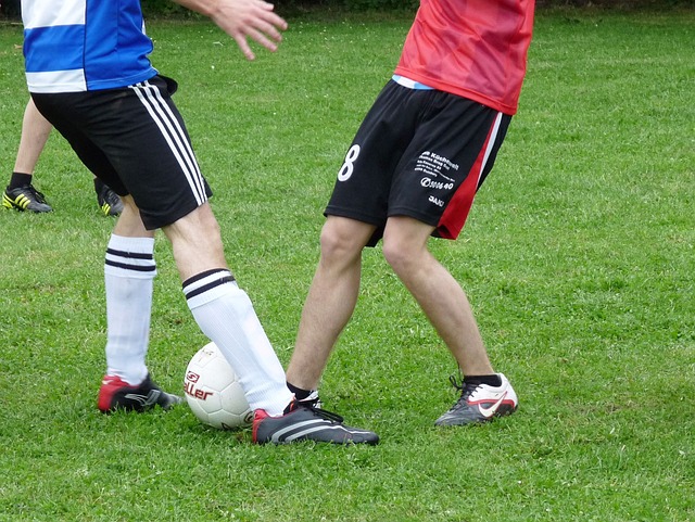 和无比的斗 和无比的斗