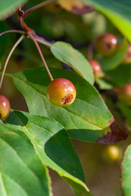 迅捷的反应 迅捷的反应