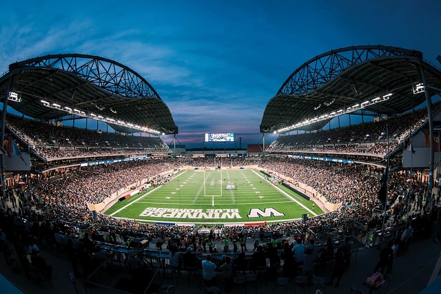 作用的球员 作用的球员