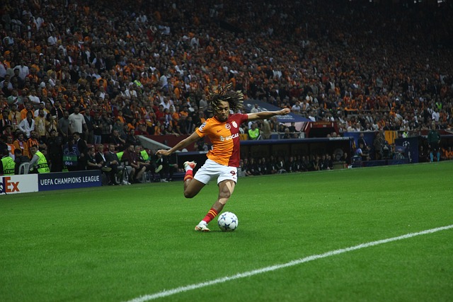 得分占总得 得分占总得